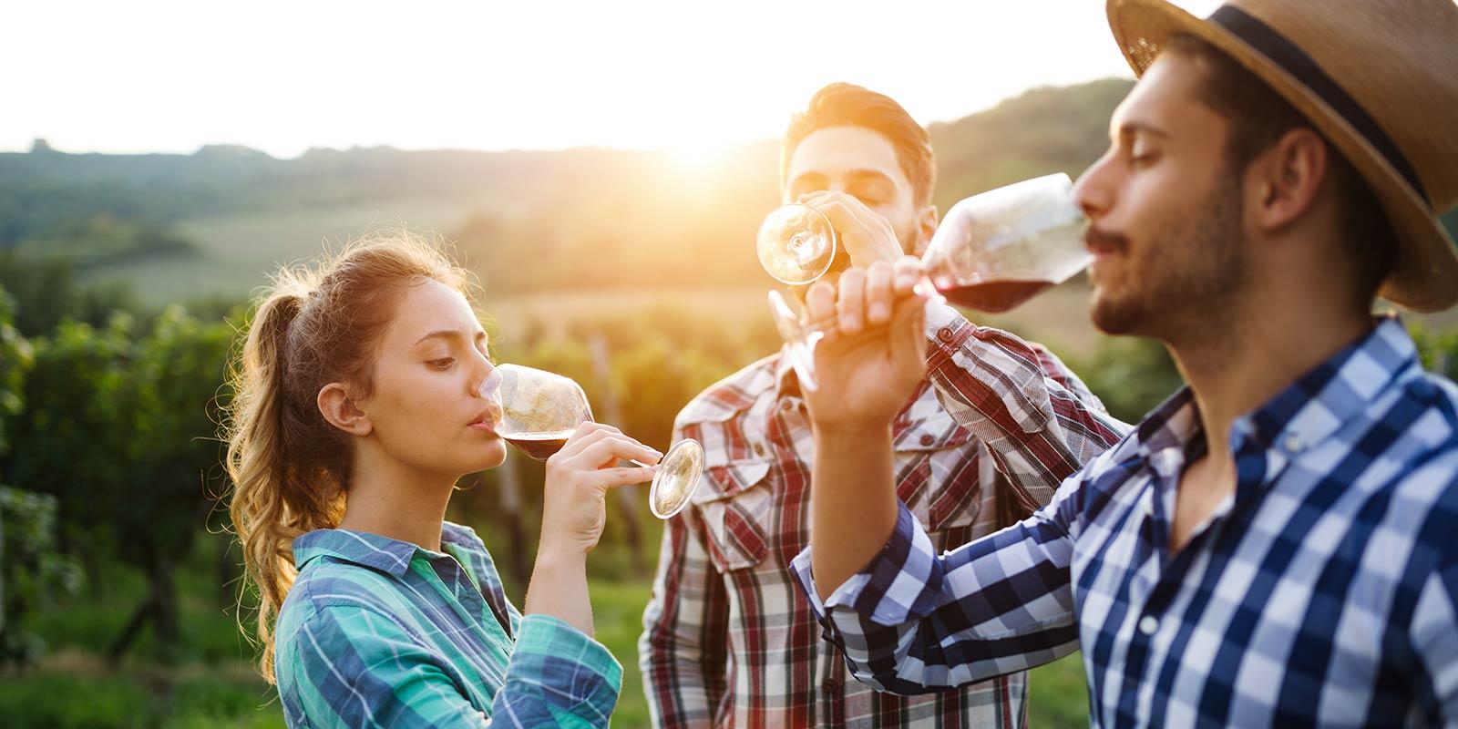 Os millennials e o vinho